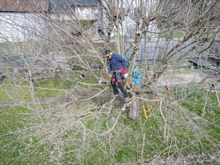 Jardin sur mesure Albertville