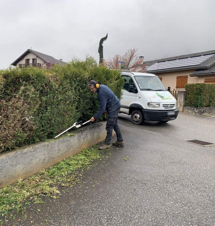 La taille de haies et la tonte de votre pelouse