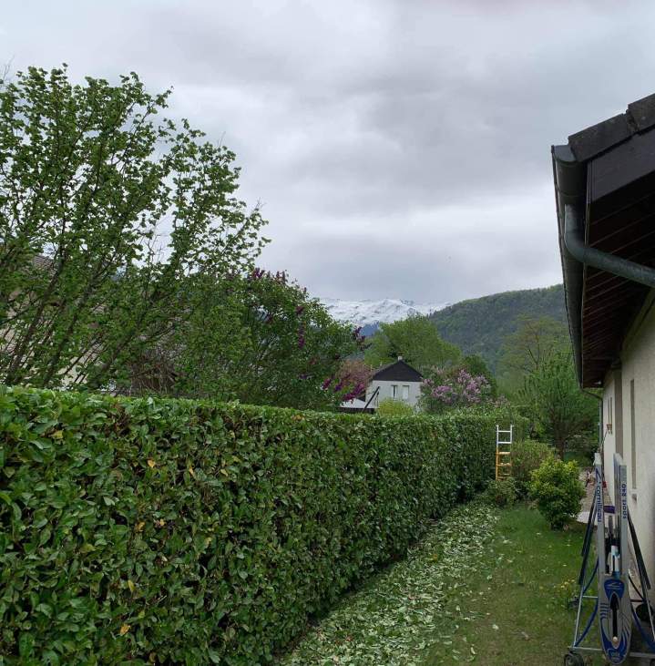Entretien de haies  Albertville