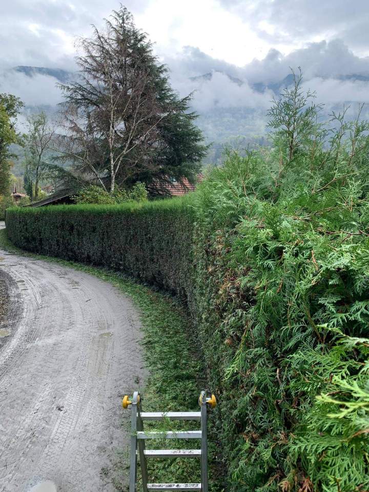 Taille de haies Albertville