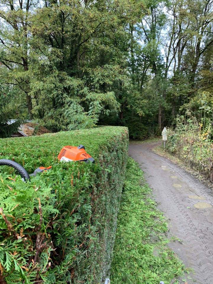 Travaux paysagers Alberville