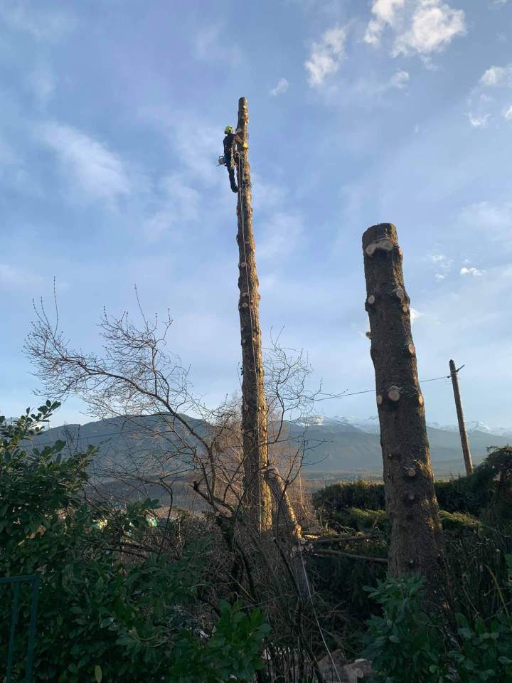 82322746 482819682638519 1527268238491123712 n