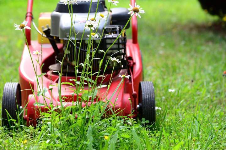 Service d'entretien de jardin à Albertville