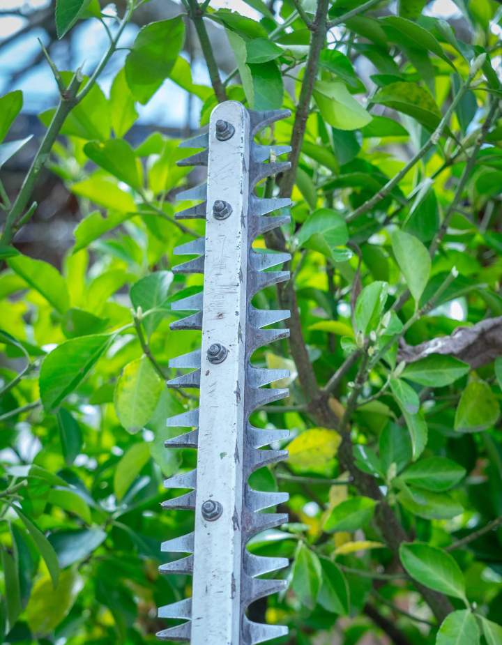 Paysagiste pour aménagement extérieur Albertville